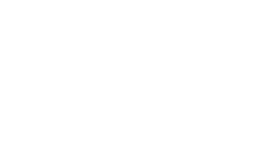 Servicio 2