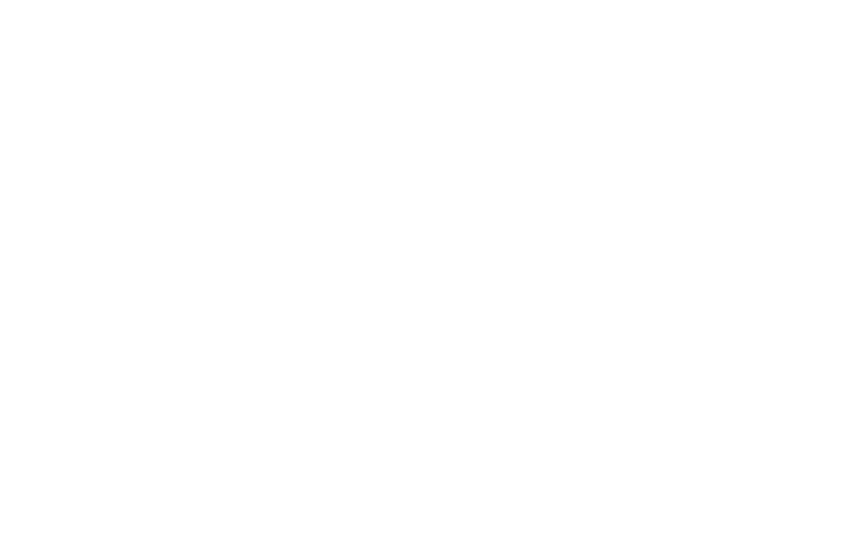 Servicio 4